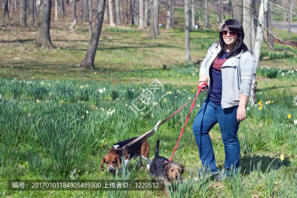 女人遛她的狗