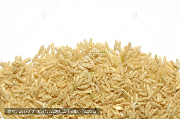長粒大米