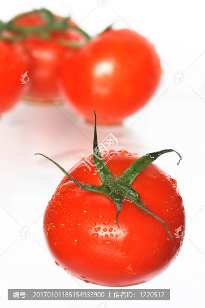 西紅柿