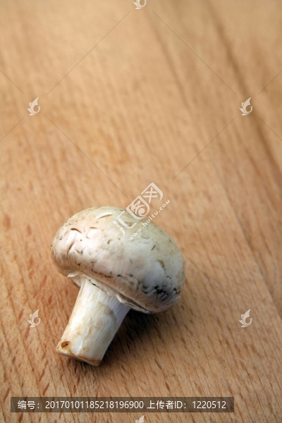 木耳