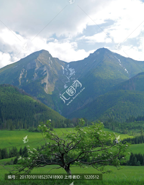 雙子山