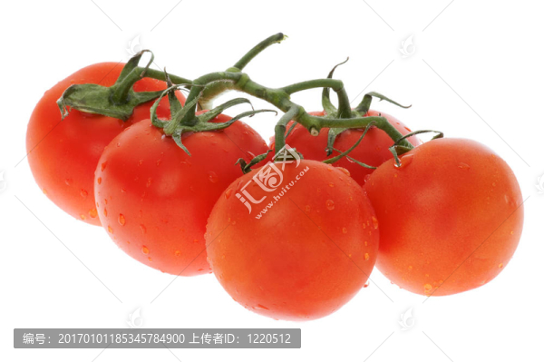番茄