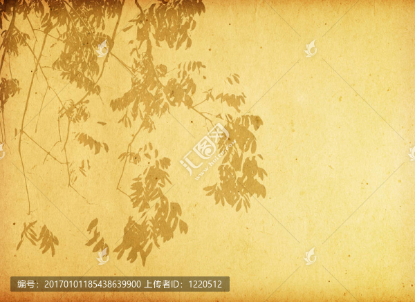 花卉風(fēng)格紋理與空間文字或圖像