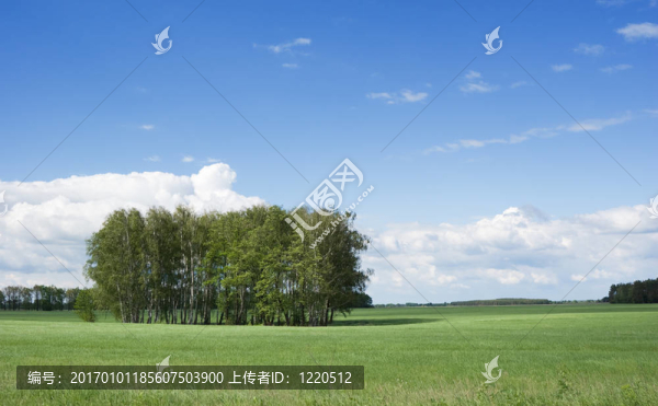 夏天的風(fēng)景
