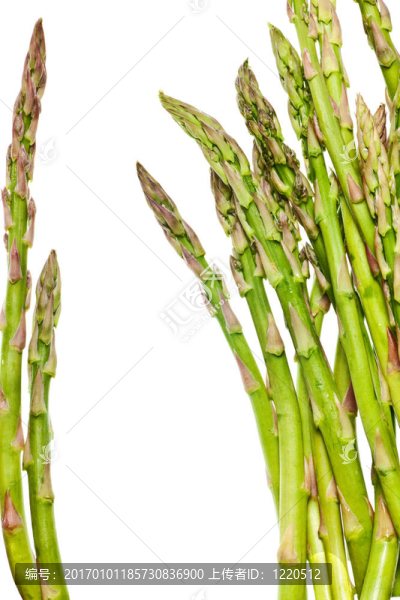 蘆筍分離