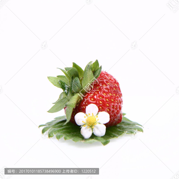 葉子上的Strawberry