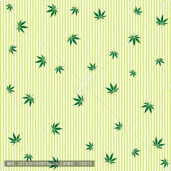 大麻的雨