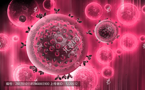 HIV病毒