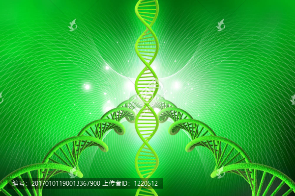DNA