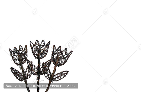 木之花2
