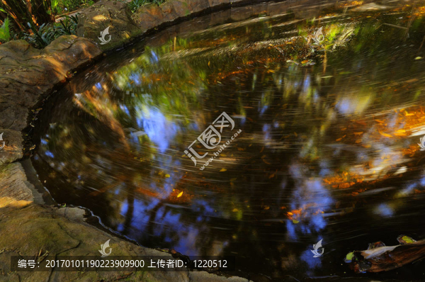 魚塘