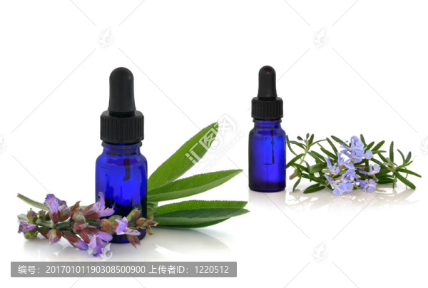 迷迭香和紫草中藥療法