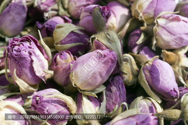 紫玫瑰鋪設(shè)縱橫交錯