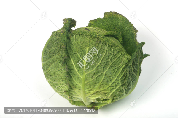 在白色背景的羽衣甘藍(lán)