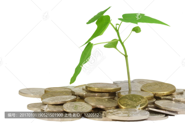 植物的硬幣