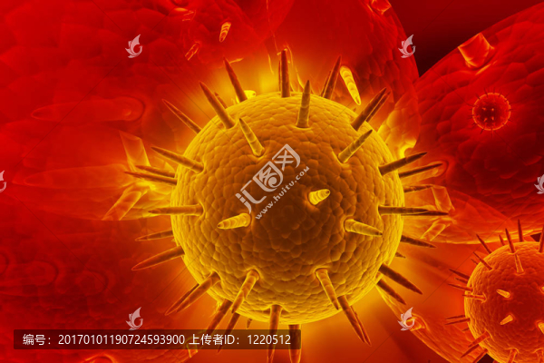 病毒