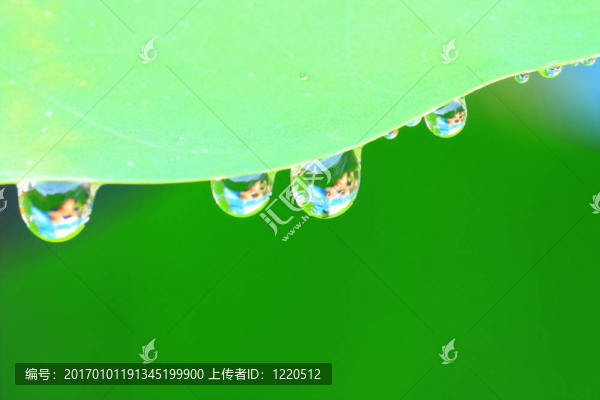 滴