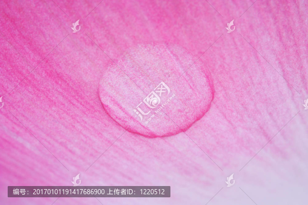 滴
