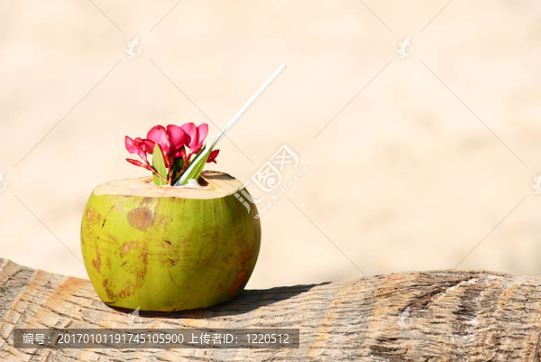 海灘上的椰子