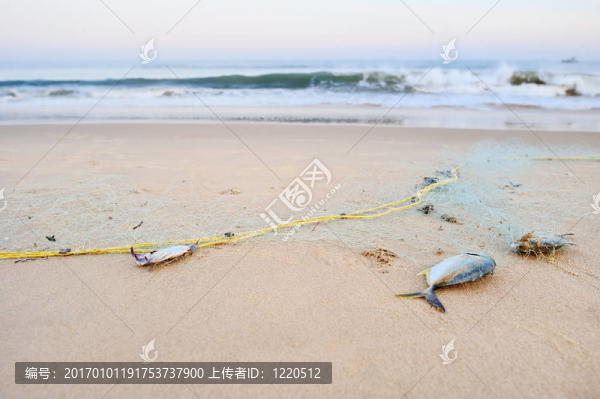死魚