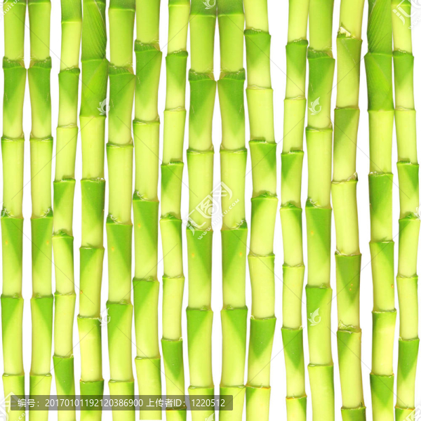 竹的背景