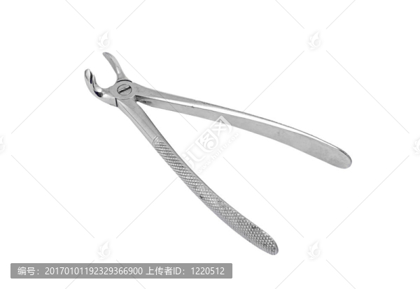 牙科鉗工具；白色背景隔離