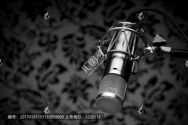錄音麥克風(fēng)