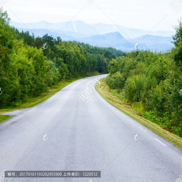 空林路