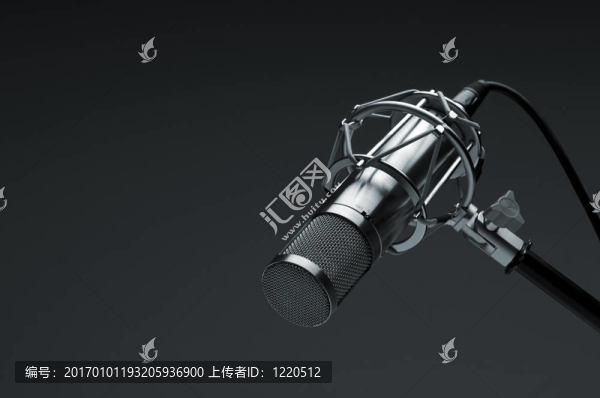 錄音麥克風(fēng)