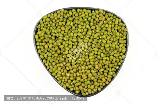 有機(jī)綠豆種子。