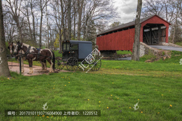 車停在橋上的人