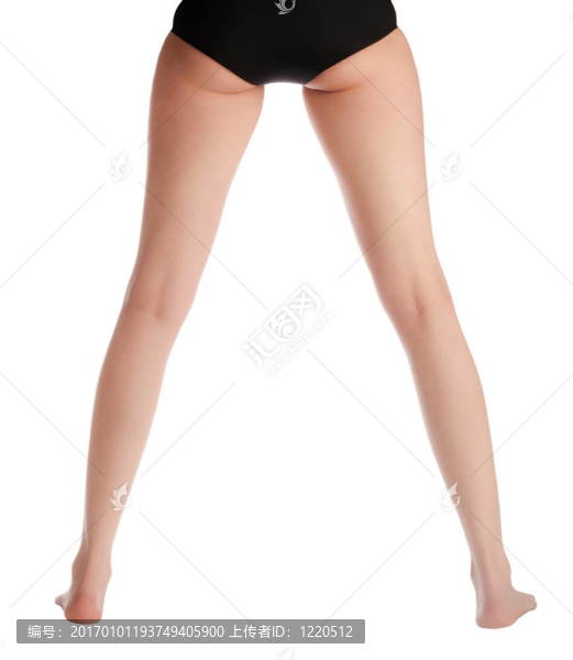 性感的腿