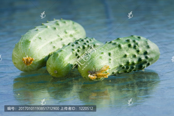 三黃瓜