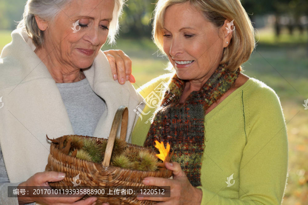 高級女人回來漫步自然