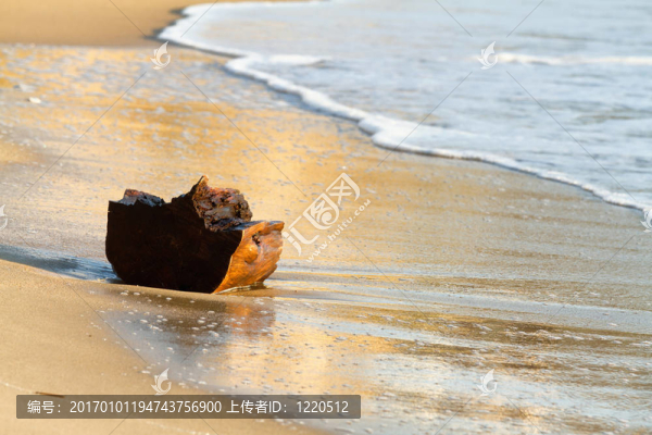 木材