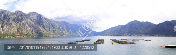 養(yǎng)殖黑山