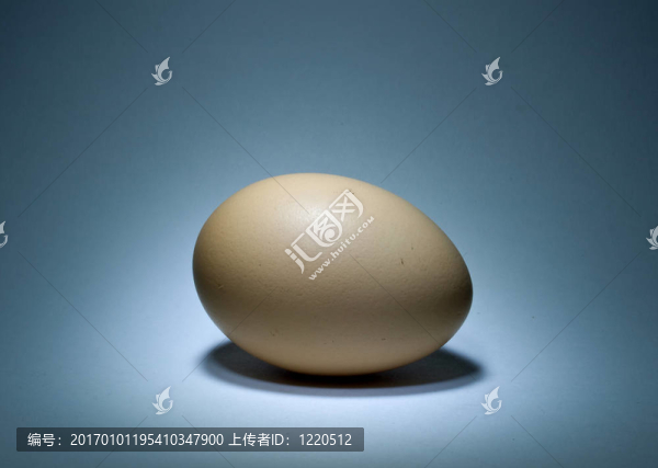 帶陰影的天然蛋