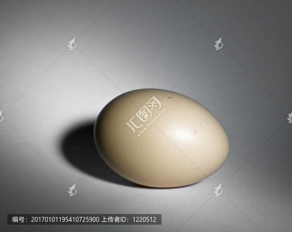 帶陰影的天然蛋