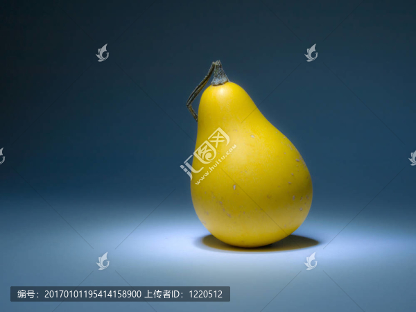 黃色南瓜像梨在黑暗中