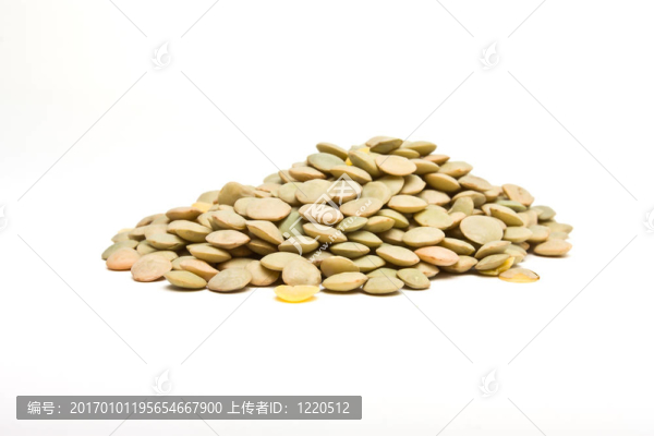 白扁豆