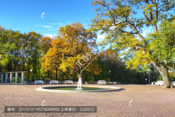 秋天的公園景色