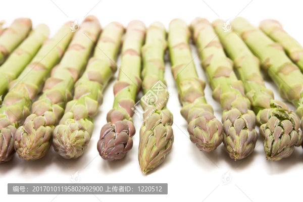 蘆筍摘要