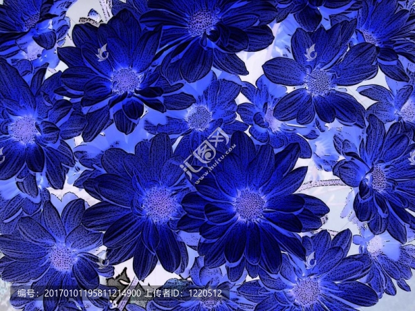 藍菊花色調(diào)分色