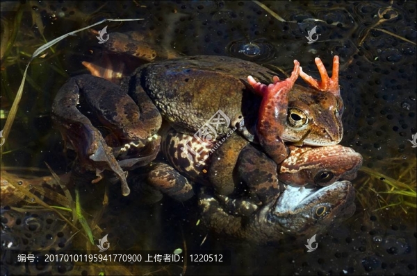 環(huán)抱。