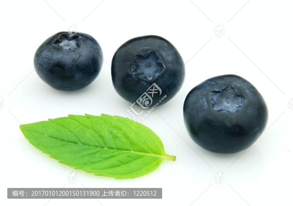 葉薄荷越桔