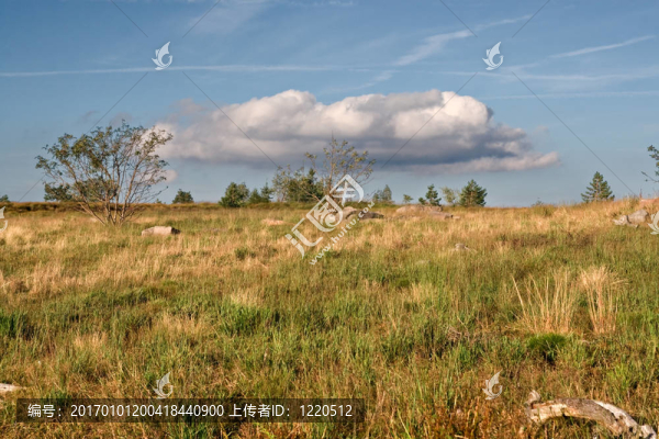 地平線上有云的風(fēng)景