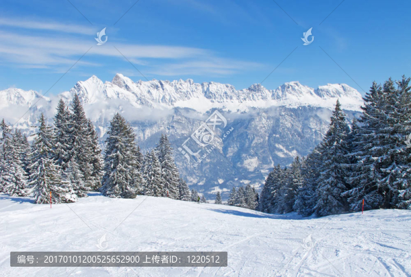 滑雪坡