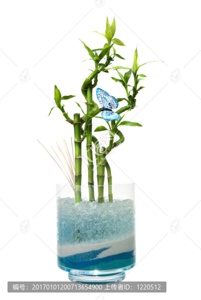 竹玻璃罐