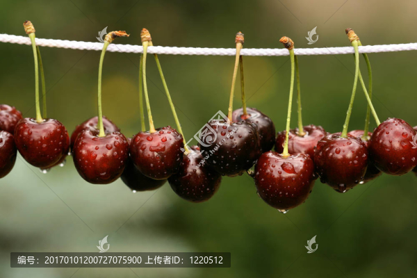 美味櫻桃排