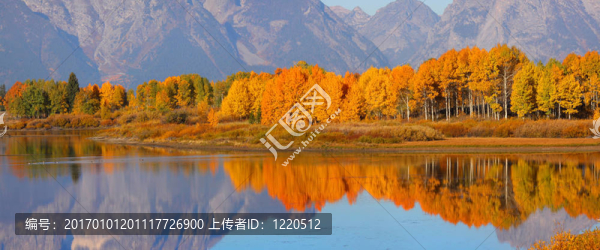 秋天的景色
